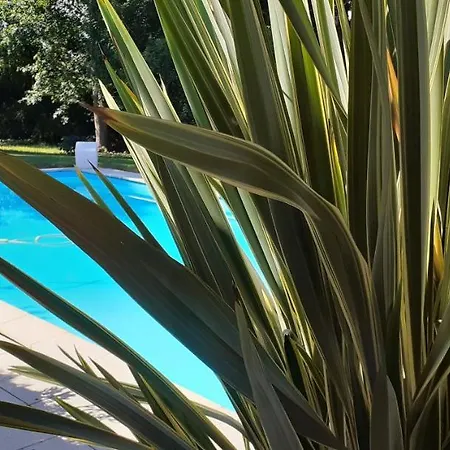 Les Barrerres Bed & Breakfast